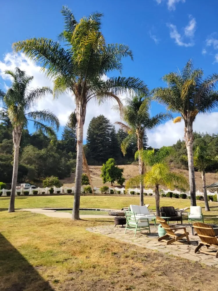 Professional garden landscaping near you across Freedom, CA - Santa Cruz Yard