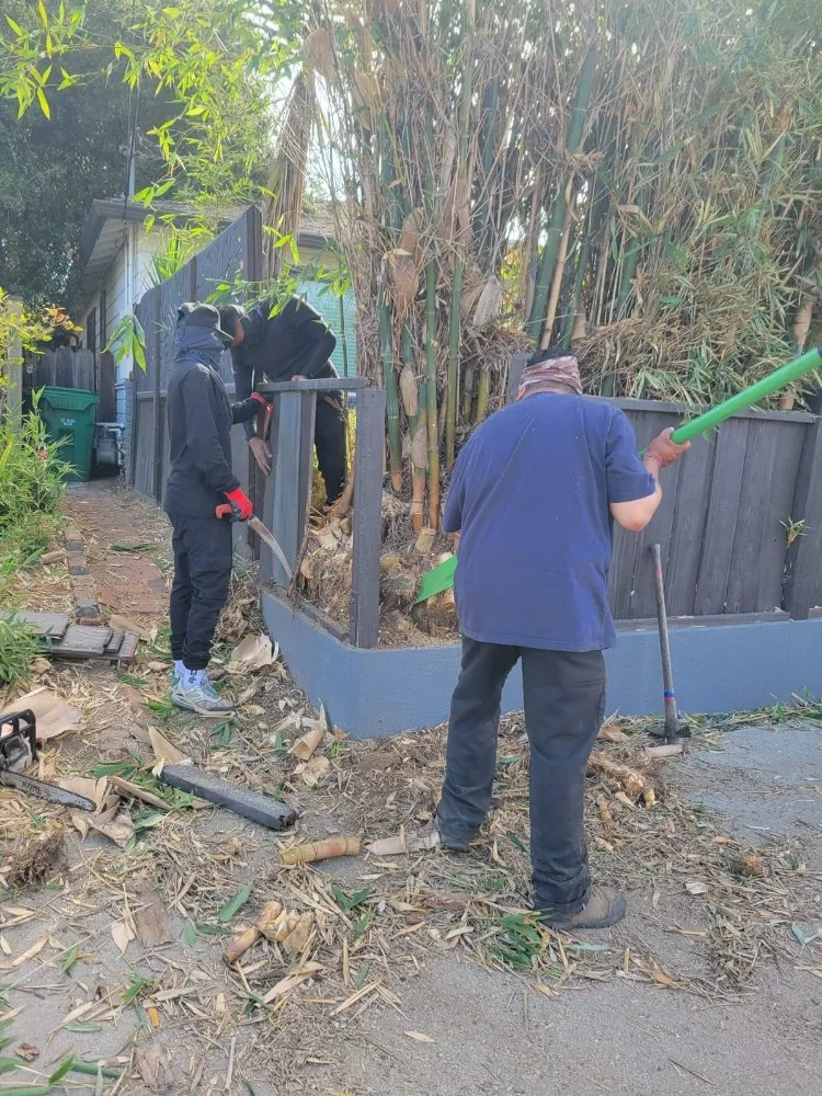 Local landscape design experts serving Freedom, CA - Santa Cruz Yard