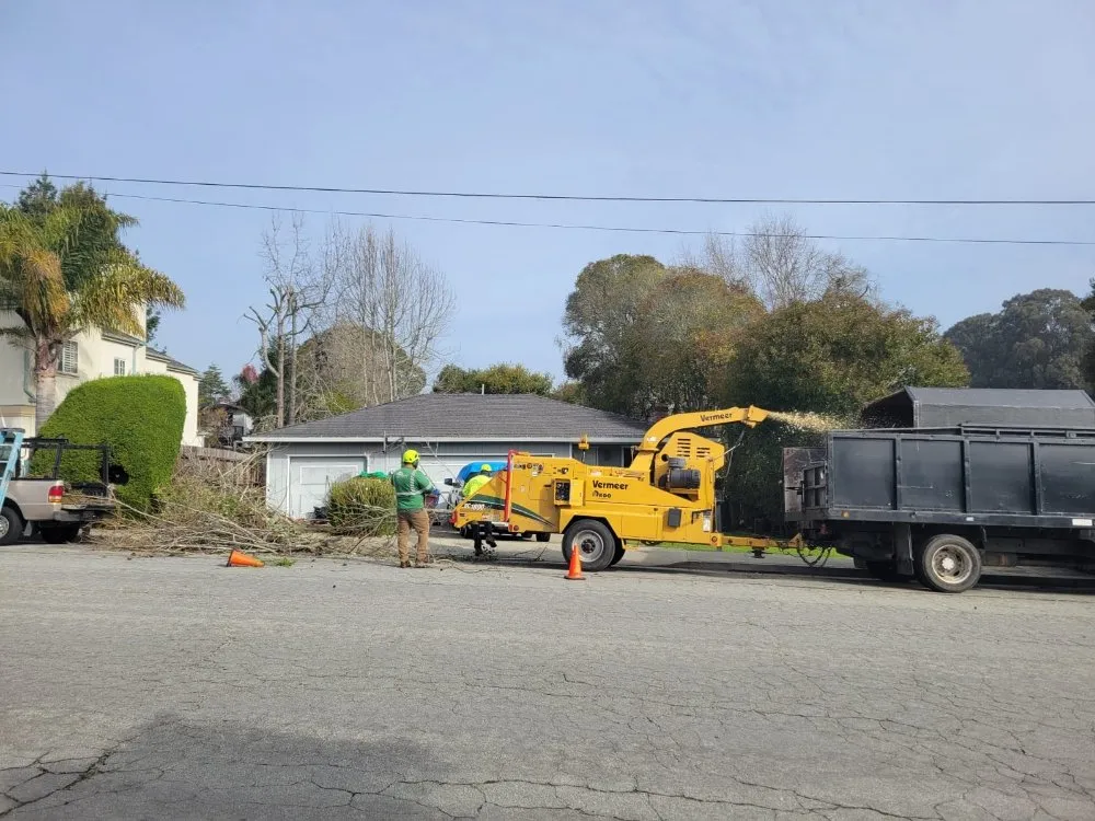 Top-rated landscaping services in Freedom, CA - Santa Cruz Yard