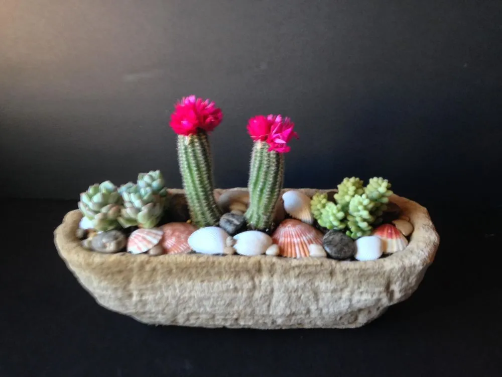 Professional yard cleanup service for homes in Santa Fe, NM by Santa Fe Rock Works