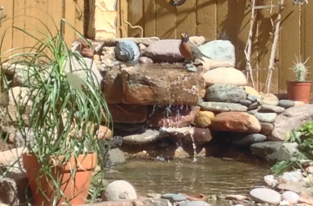 Trusted lawn mowing service in Santa Fe, NM by Santa Fe Rock Works