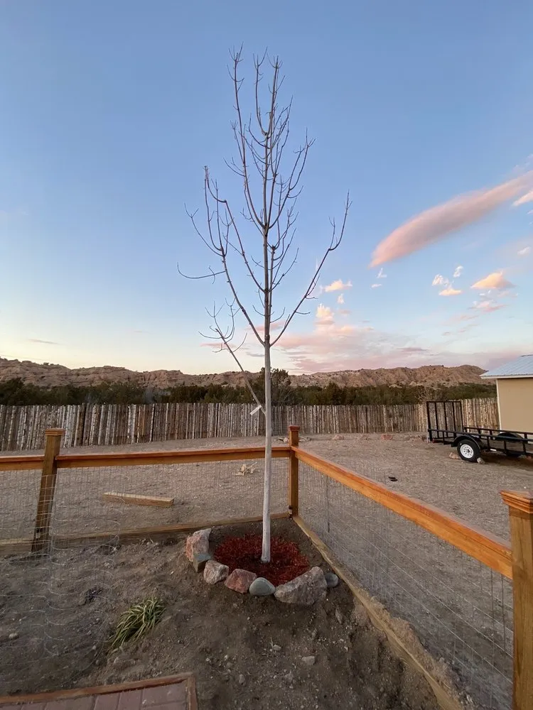 Reliable landscaping services for beautiful yards across Santa Fe, NM - Santa Fe Tree Farm