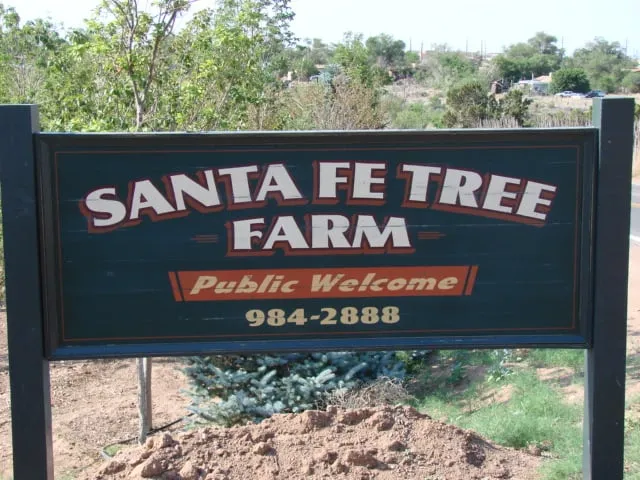 Professional yard cleanup service experts serving Santa Fe, NM - Santa Fe Tree Farm