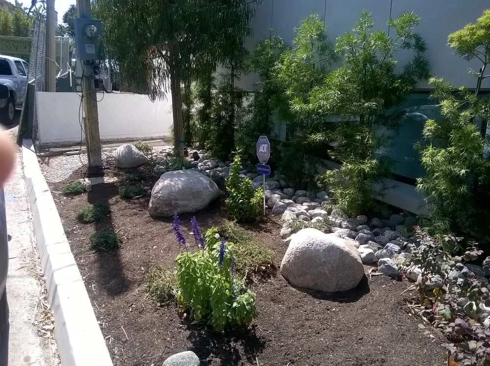 Expert garden landscaping for beautiful yards across Culver City, CA - Santa Monica Landscape