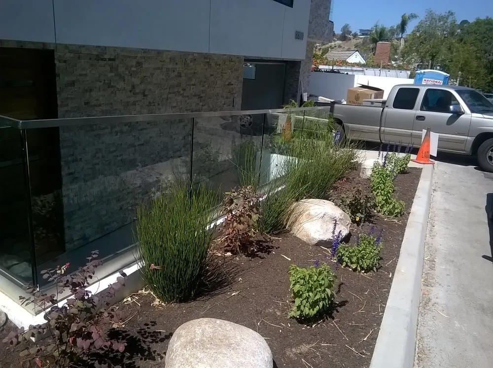 Expert lawn mowing service in Culver City, CA by Santa Monica Landscape