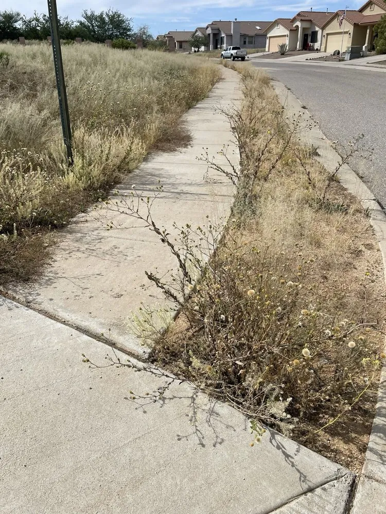 Local yard cleanup service with custom design across Tucson, AZ - Santa Rita Landscaping