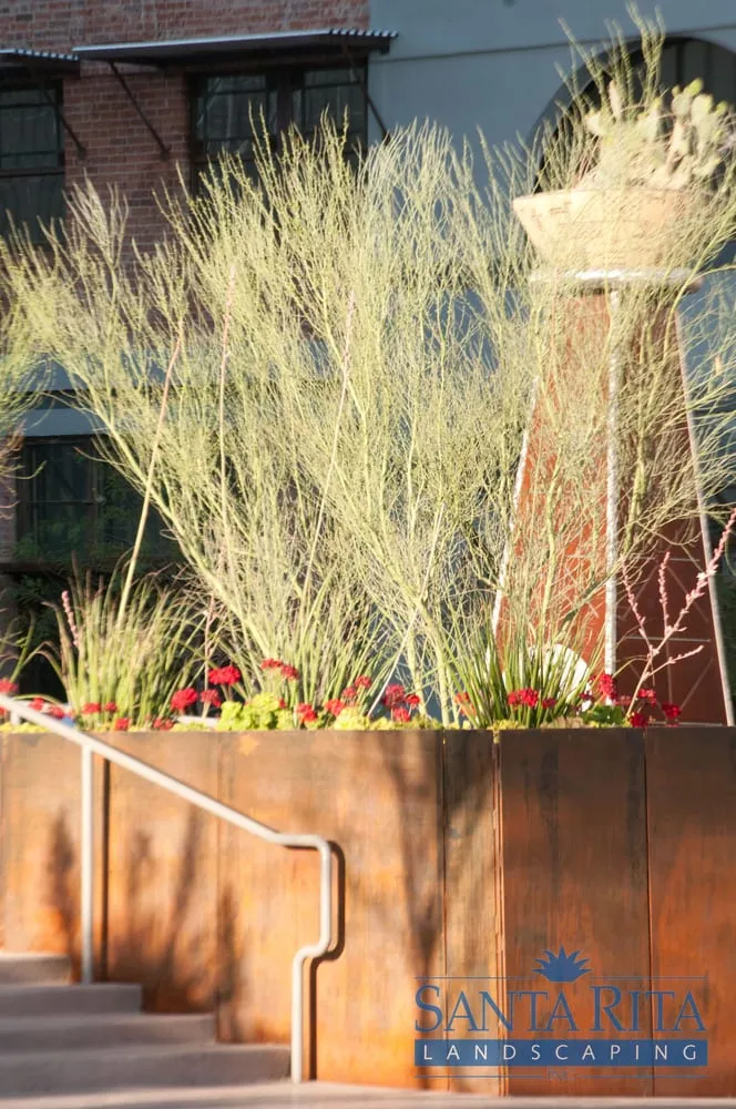 Top-rated residential landscaping experts serving Tucson, AZ - Santa Rita Landscaping