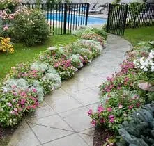 Custom yard cleanup service in Tucson, AZ by Santa Rita Landscaping