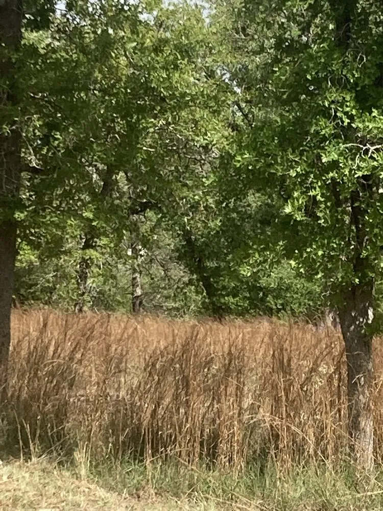 Trusted residential landscaping for beautiful yards across Seguin, TX - Santacruz Mowing and Schredding