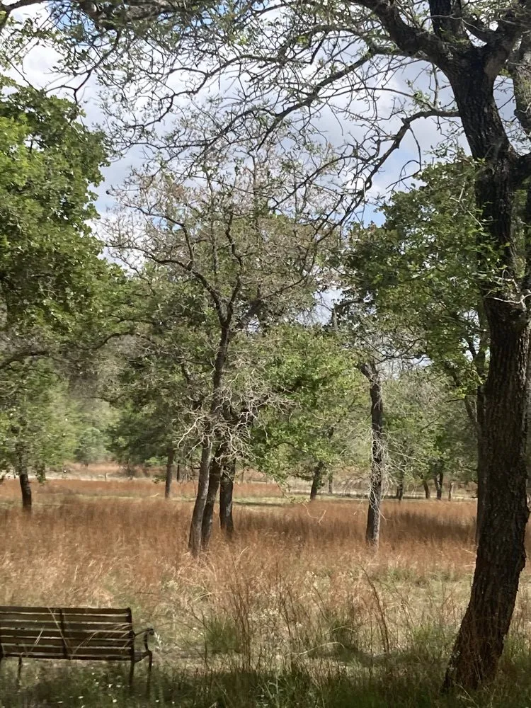 Top-rated landscaping services in Seguin, TX by Santacruz Mowing and Schredding