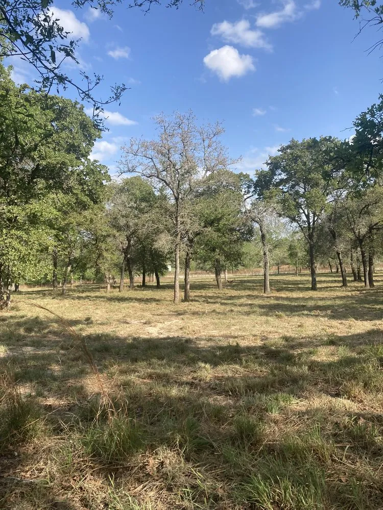 Reliable yard maintenance for outdoor upgrades in Seguin, TX by Santacruz Mowing and Schredding