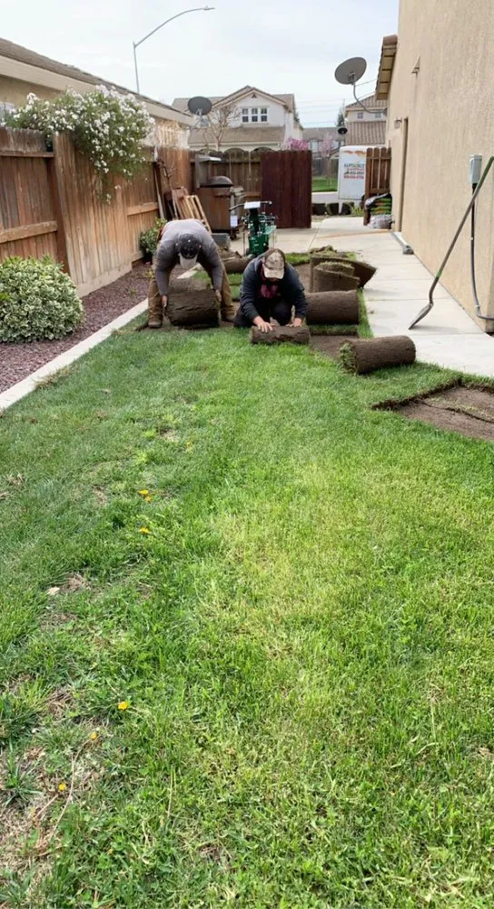 Top-rated yard cleanup service in Delhi, CA by Santacruz Yard Maintenance