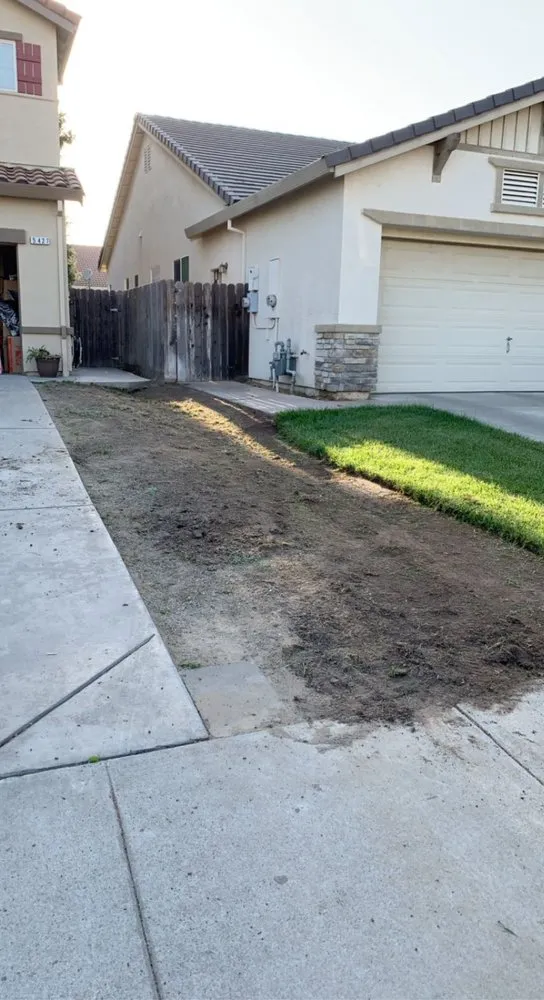 Custom landscaping services for beautiful yards in Delhi, CA by Santacruz Yard Maintenance