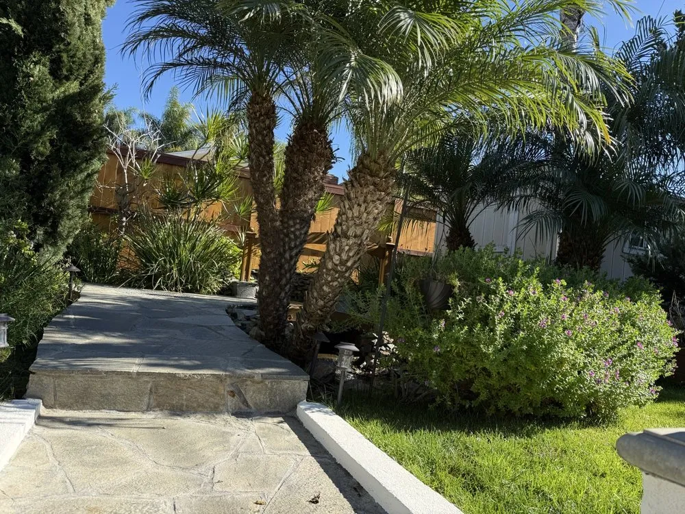 Expert lawn mowing service in Encinitas, CA by Santana Construction & Landscape Services