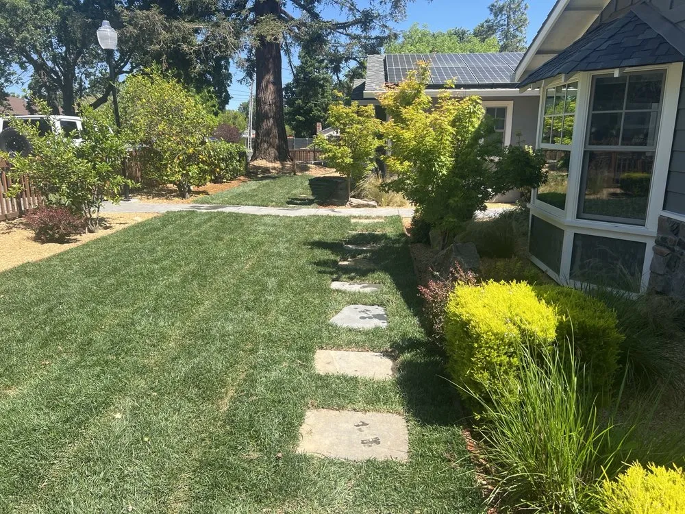 Expert lawn care service near you across Bay Point, CA - Santana Landscaping & Maintenance