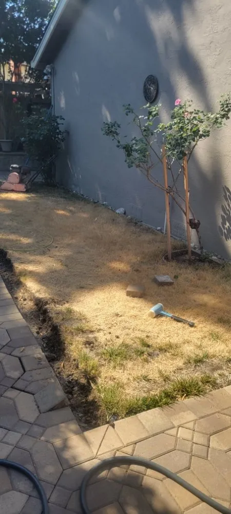 Trusted garden landscaping for year-round maintenance across Bay Point, CA - Santana Landscaping & Maintenance