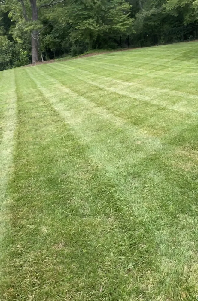 Professional outdoor landscaping experts serving Charlotte, NC - Santana Landscaping