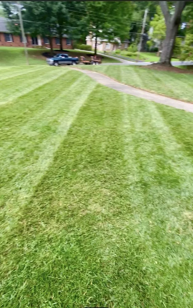 Reliable yard cleanup service in Charlotte, NC by Santana Landscaping