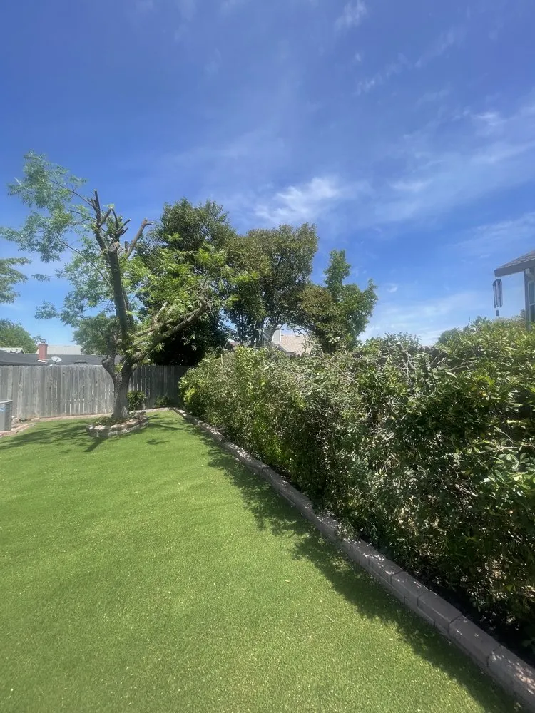 Expert residential landscaping in Rio Linda, CA by Santana Landscaping