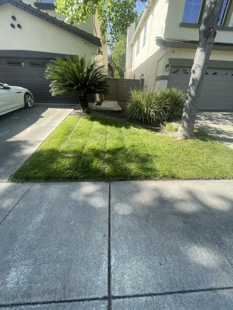 Expert lawn care service in Rio Linda, CA - Santana Landscaping