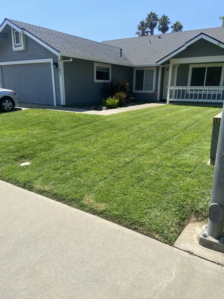 Affordable lawn care service experts serving Rio Linda, CA - Santana Landscaping