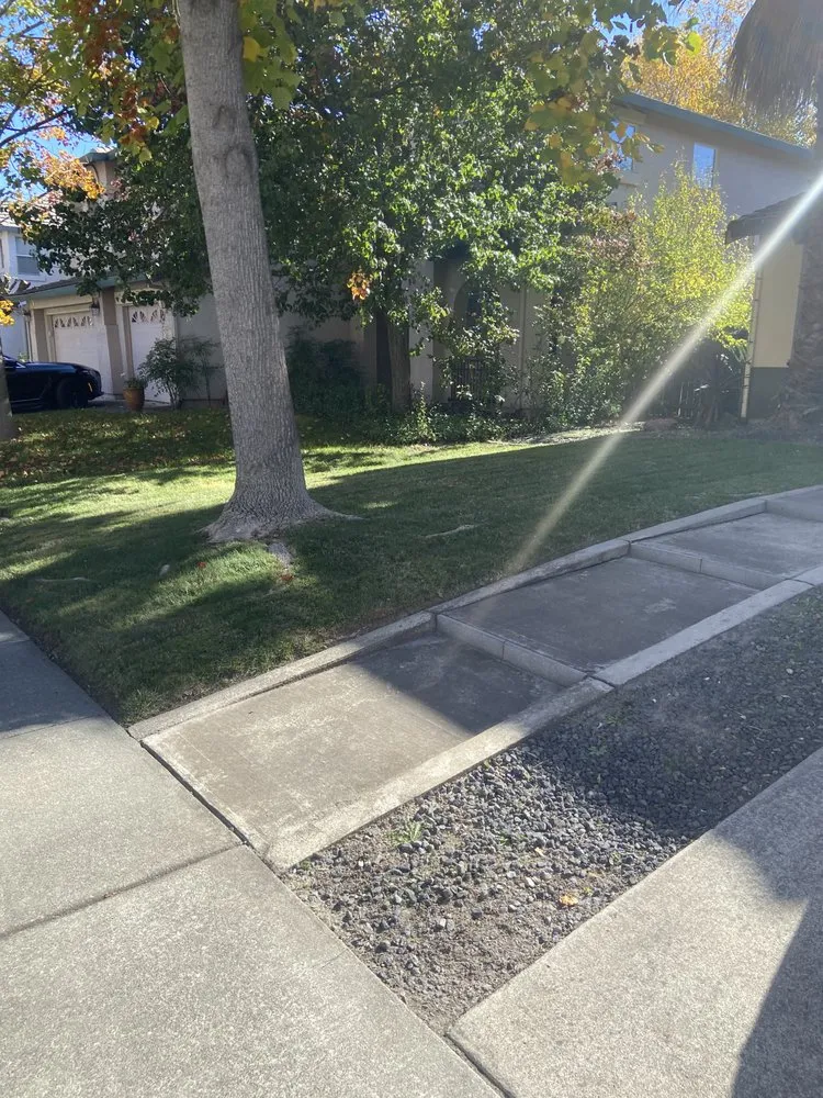 Professional yard cleanup service in Rio Linda, CA - Santana Landscaping