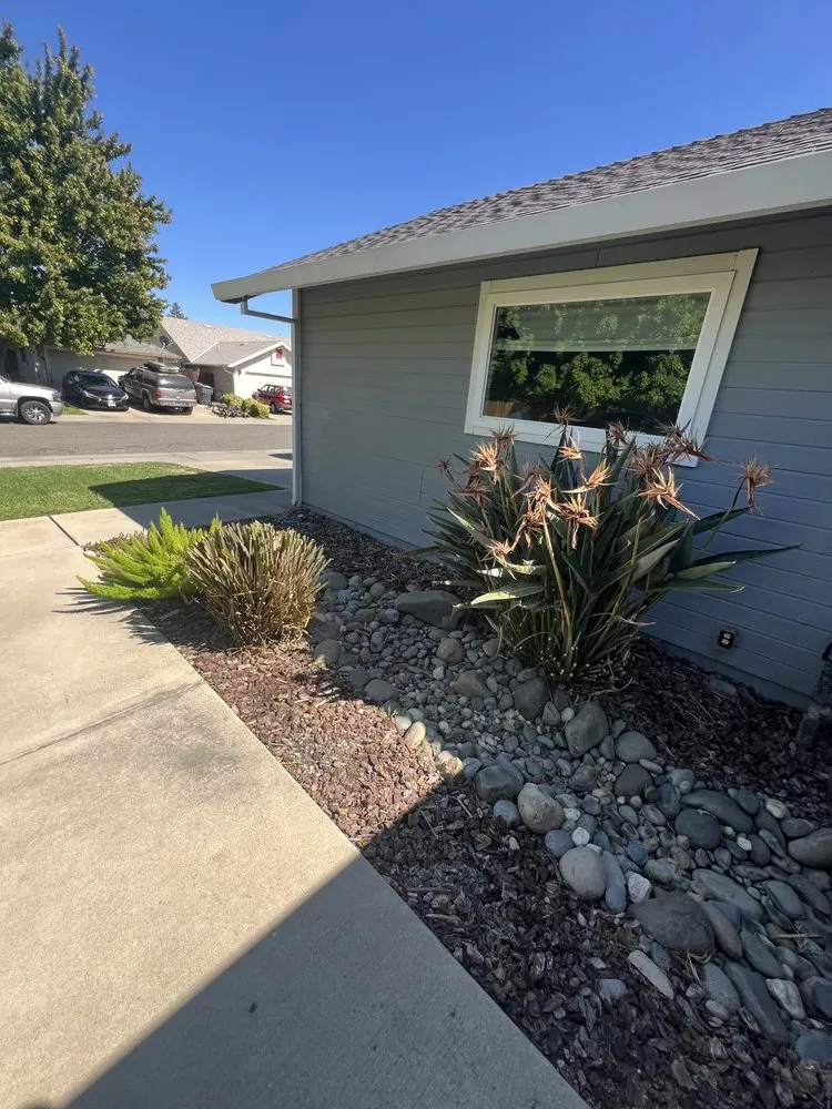 Custom yard maintenance in Rio Linda, CA by Santana Landscaping