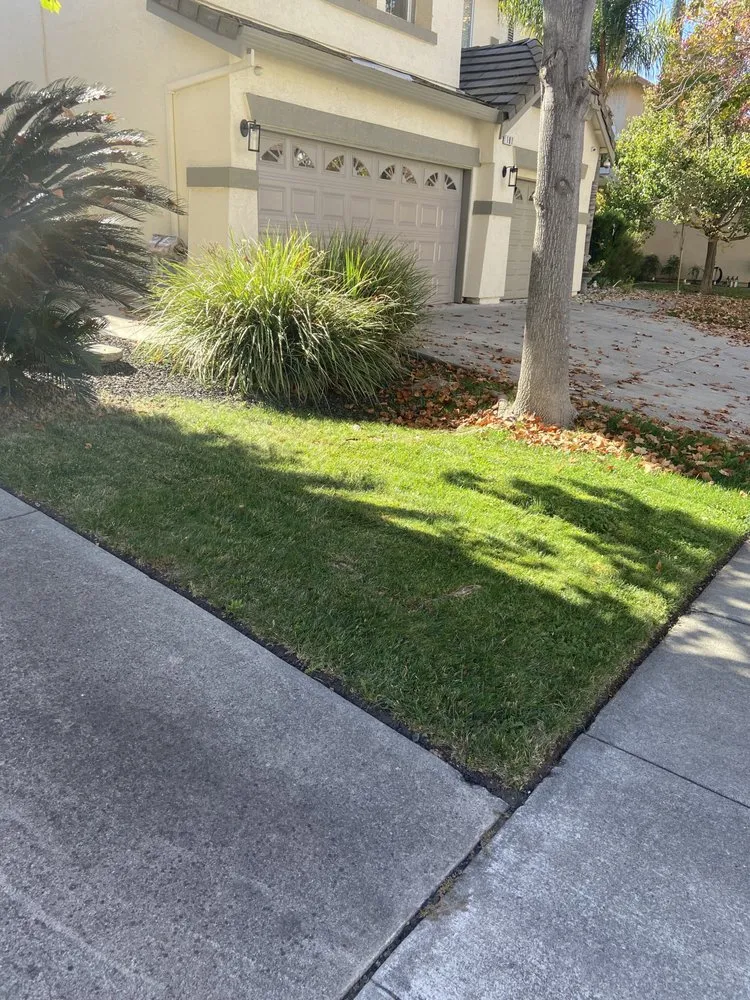 Local landscape design for homes in Rio Linda, CA by Santana Landscaping