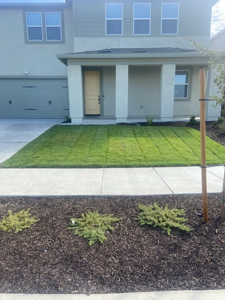 Reliable yard cleanup service in Rio Linda, CA by Santana Landscaping