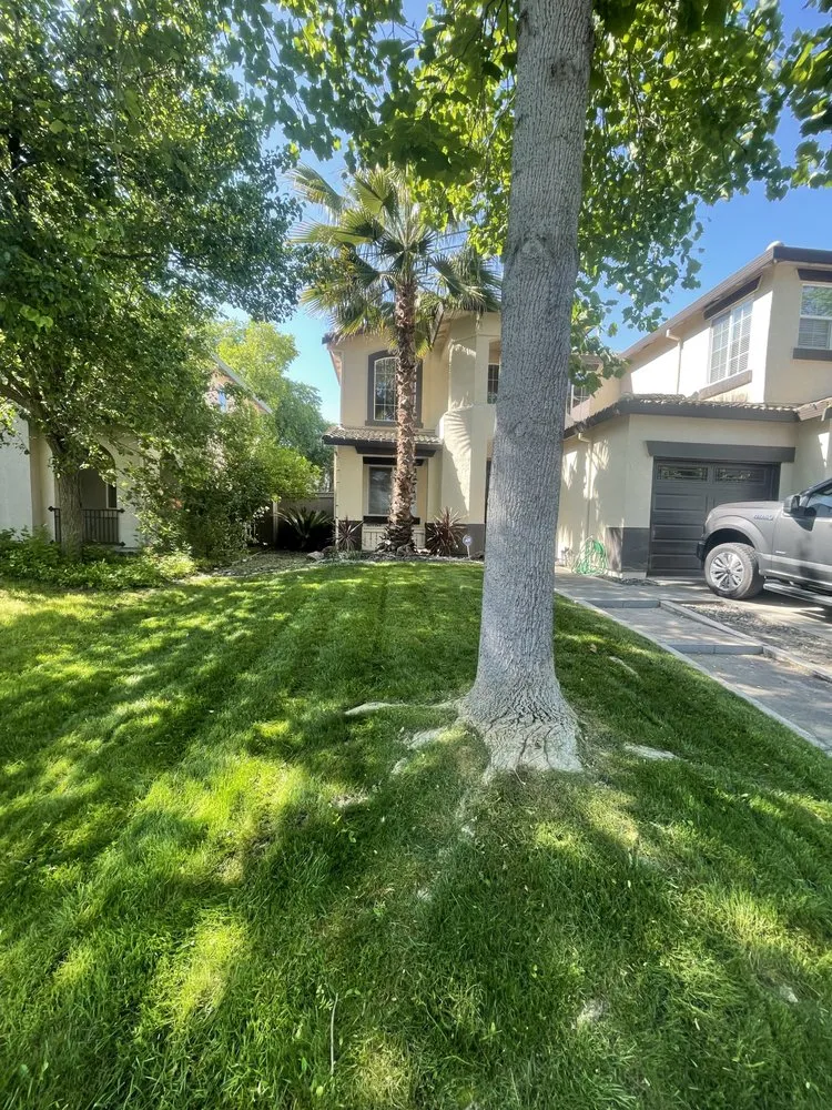 Local outdoor landscaping for homes in Rio Linda, CA by Santana Landscaping