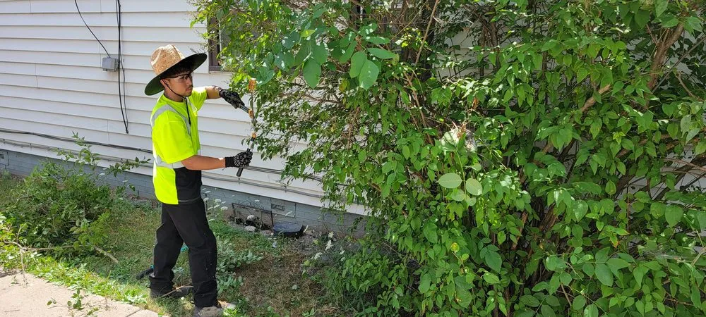 Custom garden landscaping in Buffalo, NY - Santana Lawn Care