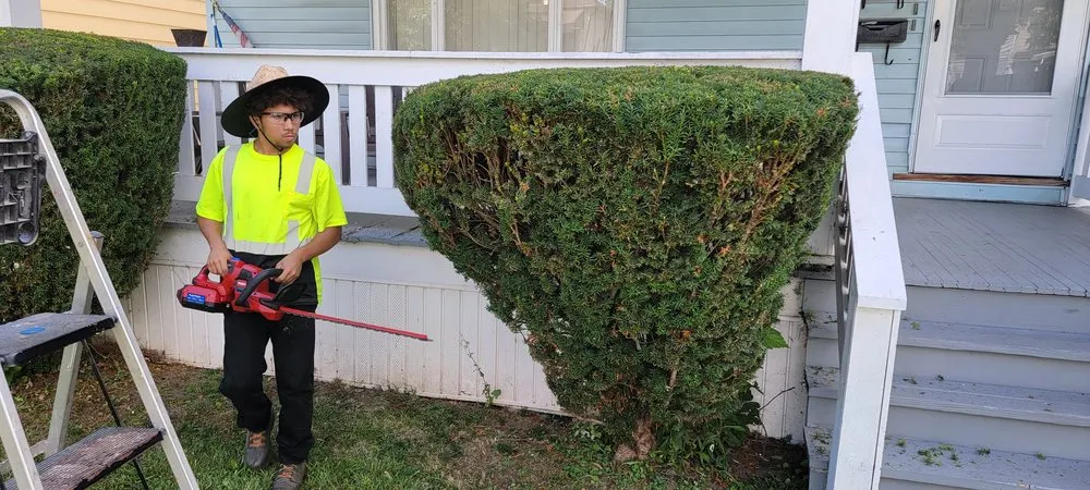 Trusted landscape design for homes across Buffalo, NY - Santana Lawn Care