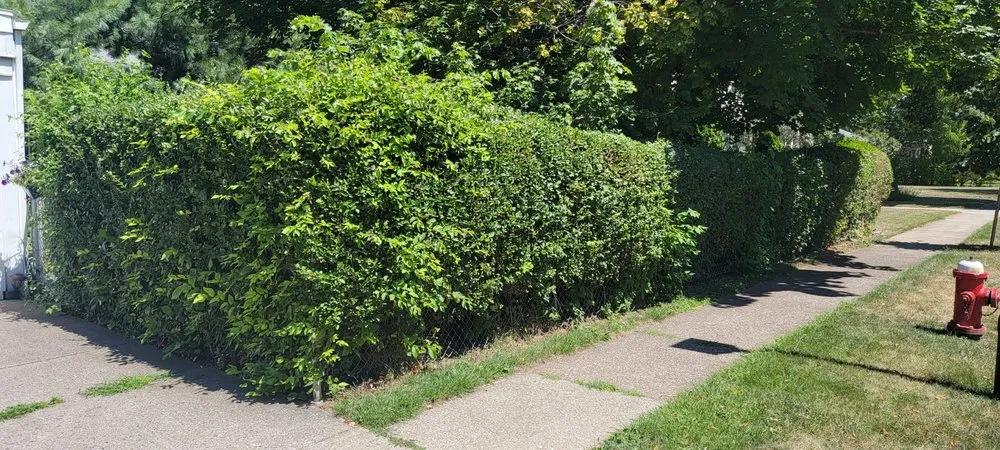 Expert lawn care service for homes in Buffalo, NY by Santana Lawn Care