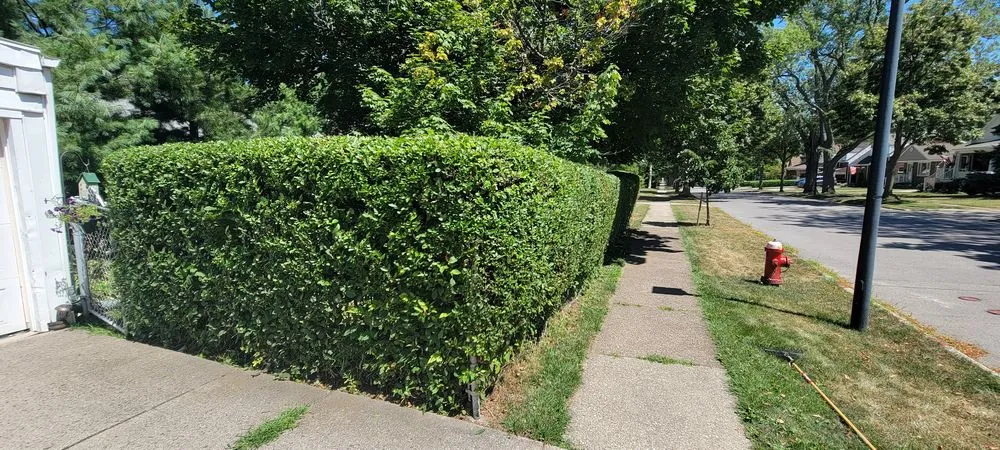 Expert garden landscaping for residential properties in Buffalo, NY by Santana Lawn Care