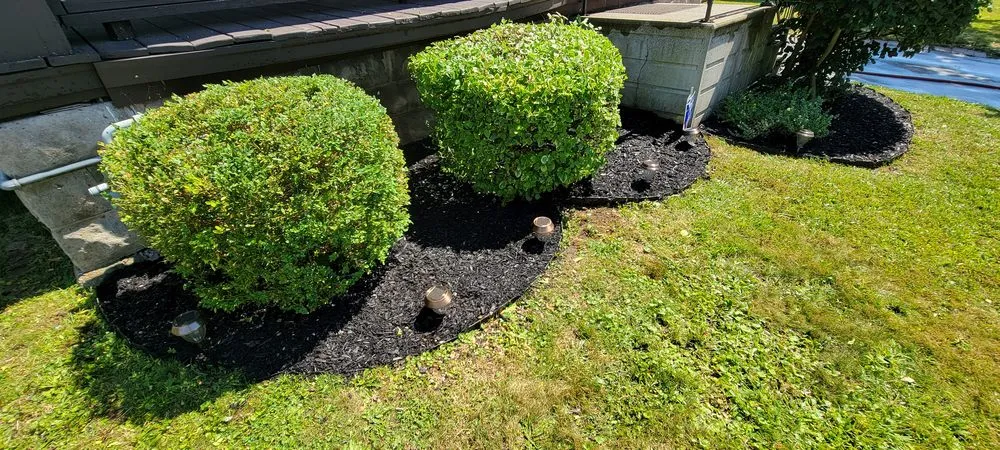 Professional lawn mowing service in Buffalo, NY - Santana Lawn Care