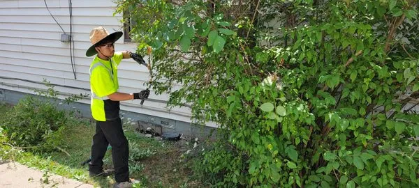 Santana Lawn Care Logo