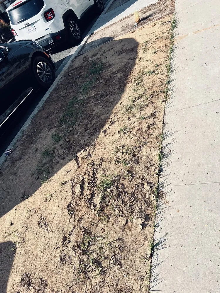 Expert lawn mowing service in Long Beach, CA by Santana's Landscaping