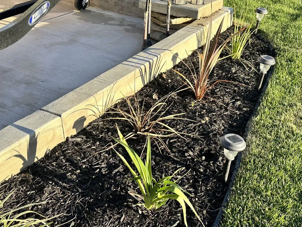 Custom landscape design for outdoor upgrades in Long Beach, CA by Santana's Landscaping