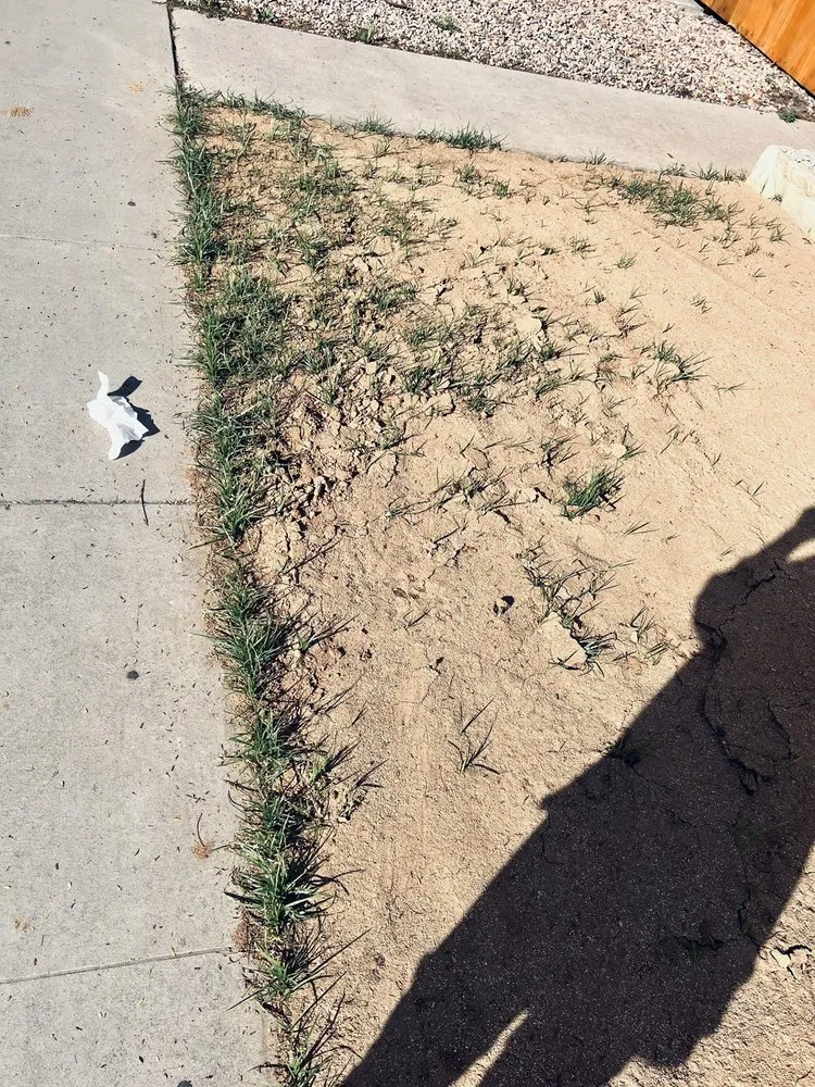 Affordable landscape design for outdoor upgrades in Long Beach, CA by Santana's Landscaping