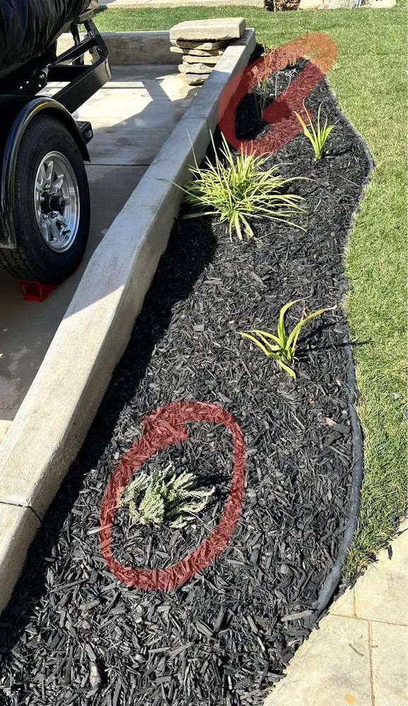 Expert landscape design for outdoor upgrades in Long Beach, CA by Santana's Landscaping