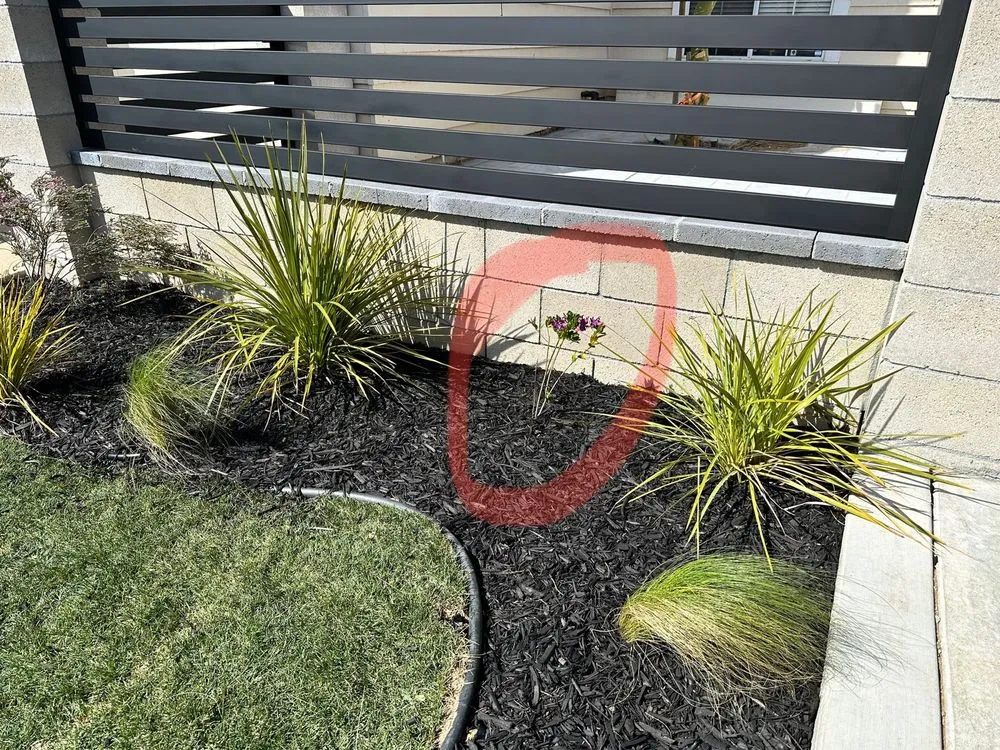 Expert yard maintenance in Long Beach, CA - Santana's Landscaping