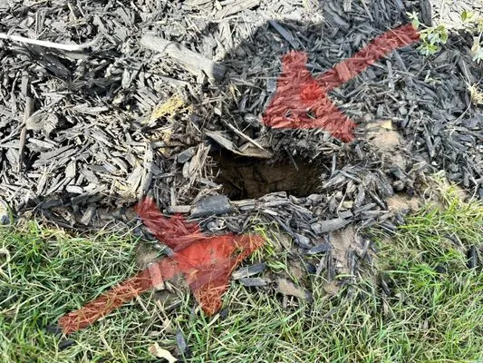 Santana's Landscaping Logo