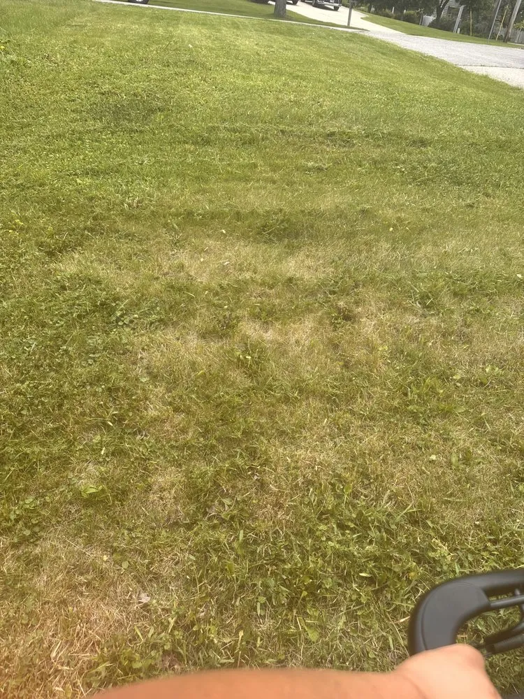 Reliable yard cleanup service for year-round maintenance in St. Charles, IL by Santana's Landscaping