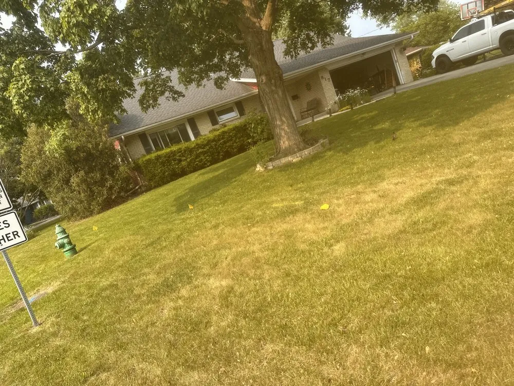 Affordable lawn care service in St. Charles, IL by Santana's Landscaping