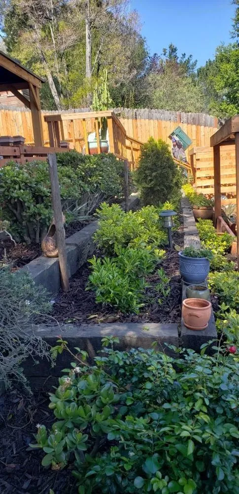 Professional garden landscaping with custom design in Oakland, CA by Santa's Cleaning & Landscaping Services