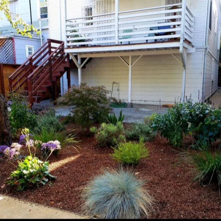 Expert landscape installation in Oakland, CA by Santa's Cleaning & Landscaping Services