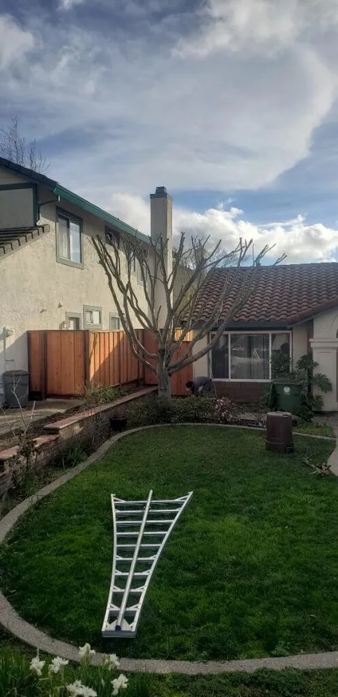 Trusted residential landscaping with custom design across Oakland, CA - Santa's Cleaning & Landscaping Services