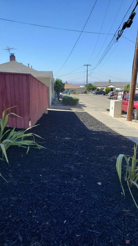 Local lawn mowing service experts serving Oakland, CA - Santa's Cleaning & Landscaping Services