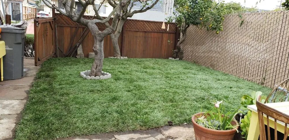 Expert outdoor landscaping in Oakland, CA by Santa's Cleaning & Landscaping Services