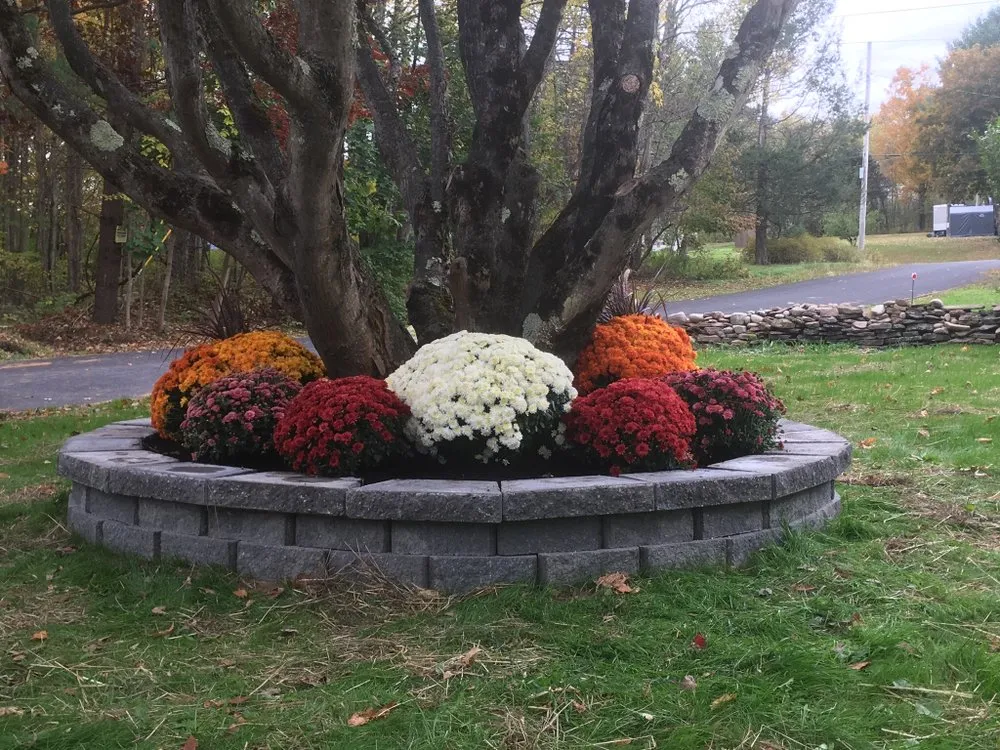 Affordable lawn care service experts serving Ellenville, NY - Santi Lawn Care